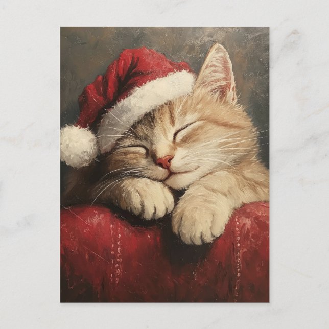 Cute and Cosy Christmas Cat in Santa Hat Postcard (Front)