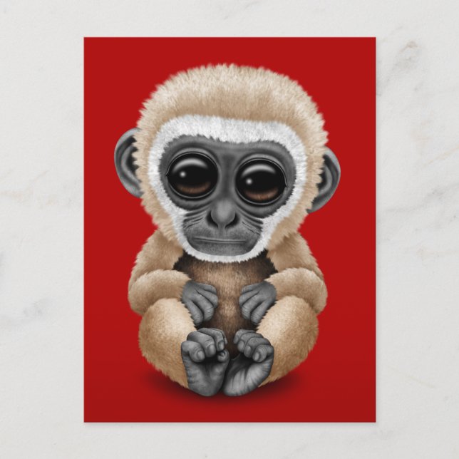 Cute and Curious Baby Gibbon on Red Postcard (Front)