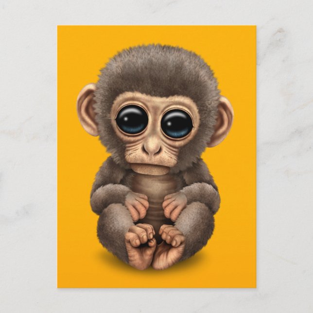 Cute and Curious Baby Monkey on Yellow Postcard (Front)