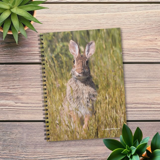 Cute and Curious Eastern Cottontail Rabbit Notebook (Ears to You Eastern Cottontail Rabbit Journal Cover Photo)
