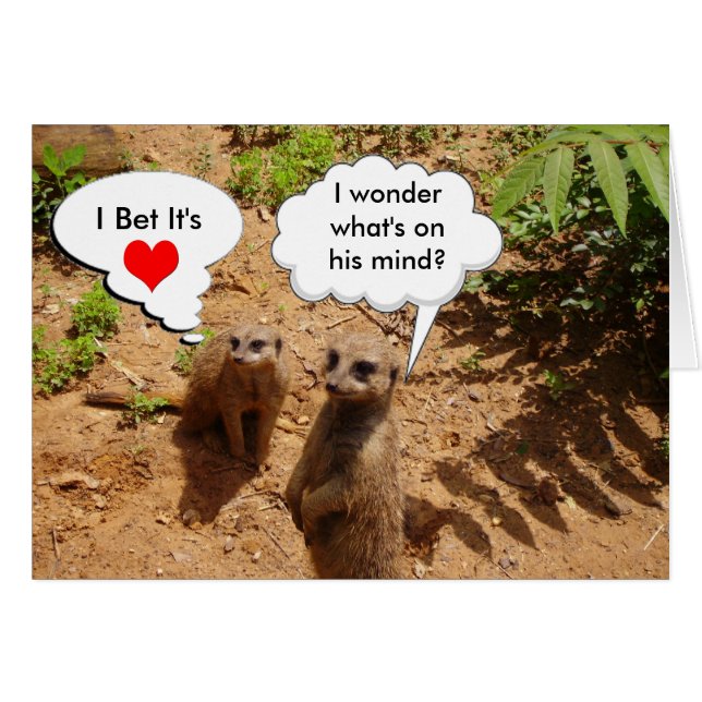 Cute and customisable (Front Horizontal)