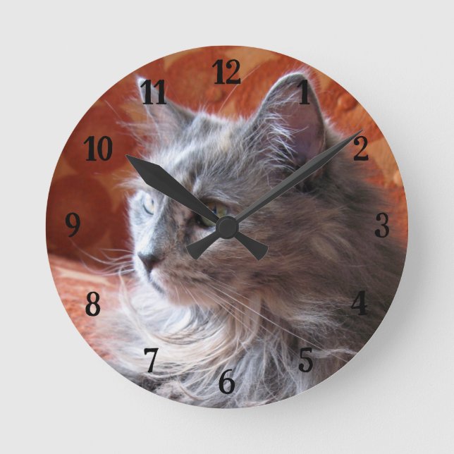 Cute and Fluffy Grey Cat Round Clock (Front)