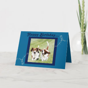 Cute and Funny Basset Hound Birthday Card