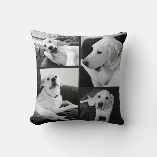 Cute and Funny Black and White Dog Photos Green   Cushion (Front)