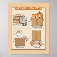 Cute and Funny Cats in Boxes