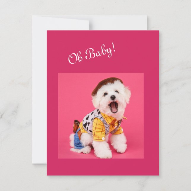Cute and funny dressed maltese     card (Front)