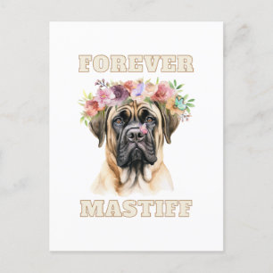 Cute and Funny English Mastiff Dog with Flowers  Postcard