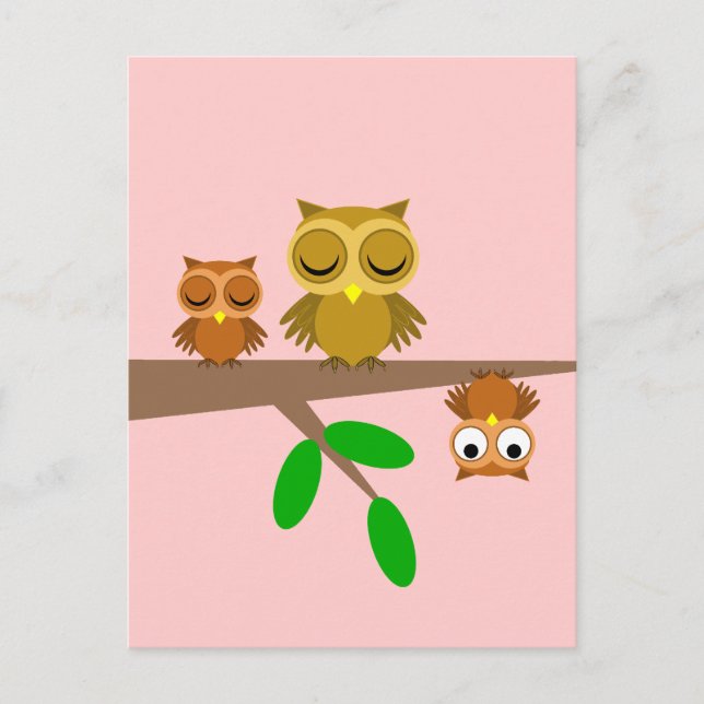 cute and funny owls postcard (Front)