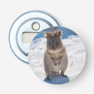 Cute and happy Quokka on the beach in Australia Bottle Opener