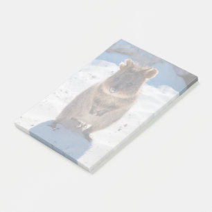 Cute and Happy Quokka on the Beach in Australia Post-it Notes