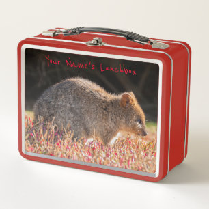 Cute and happy Quokkas with flowers in Australia Metal Lunch Box