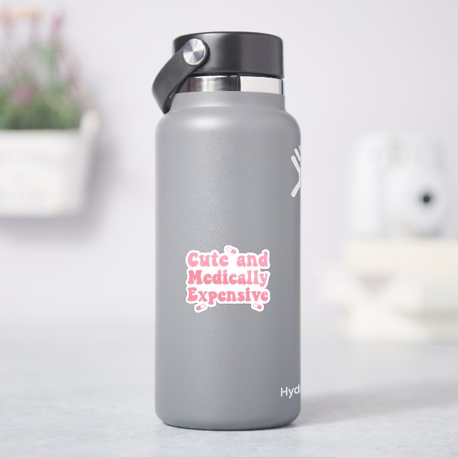 Cute and Medically Expensive, Chronic Illness (HydroFlask)