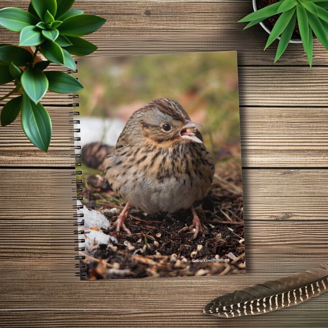 Cute and Spunky Lincoln's Sparrow Notebook (Spunky Lincoln's Sparrow in the Snow Journal Cover Photo)