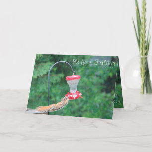 Cute and whimsy card