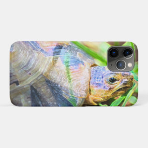 Cute Angulate Tortoise South Africa Details Case-Mate iPhone Case