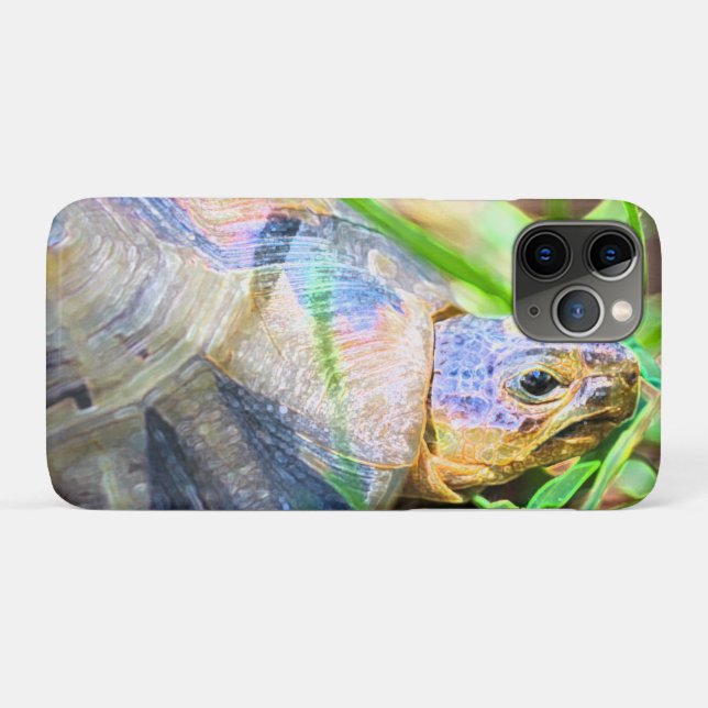 Cute Angulate Tortoise South Africa Details Case-Mate iPhone Case (Back (Horizontal))