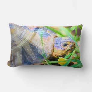 Cute Angulate Tortoise South Africa Details Lumbar Cushion