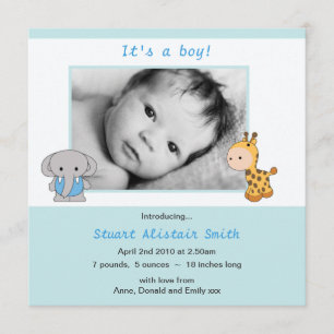 Cute Animal Blue Baby Boy Photo Announcement
