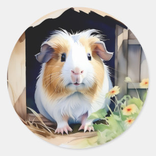 Cute Animal Guinea Pig Watercolor Classic Round Sticker