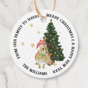 Cute Animal Illustrations Merry Christmas Gift Favour Tags