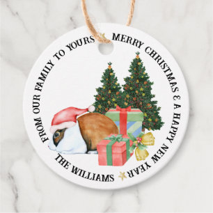 Cute Animal Illustrations Merry Christmas Gift Favour Tags