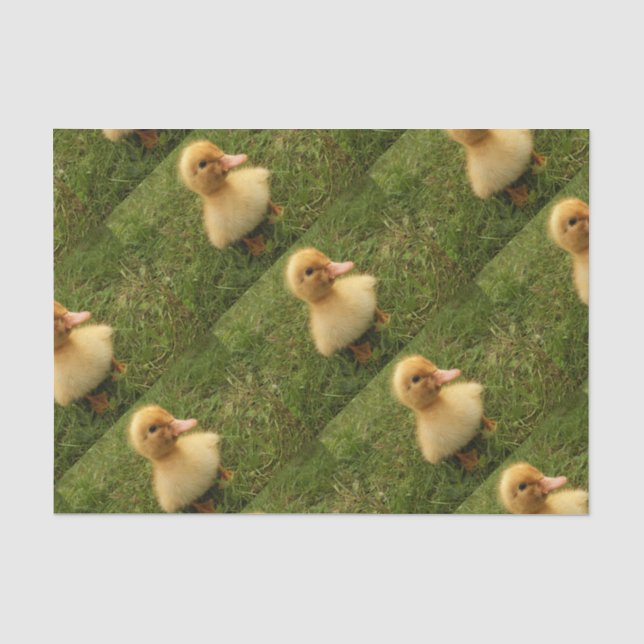 cute animal kids on delicate paper (Front)