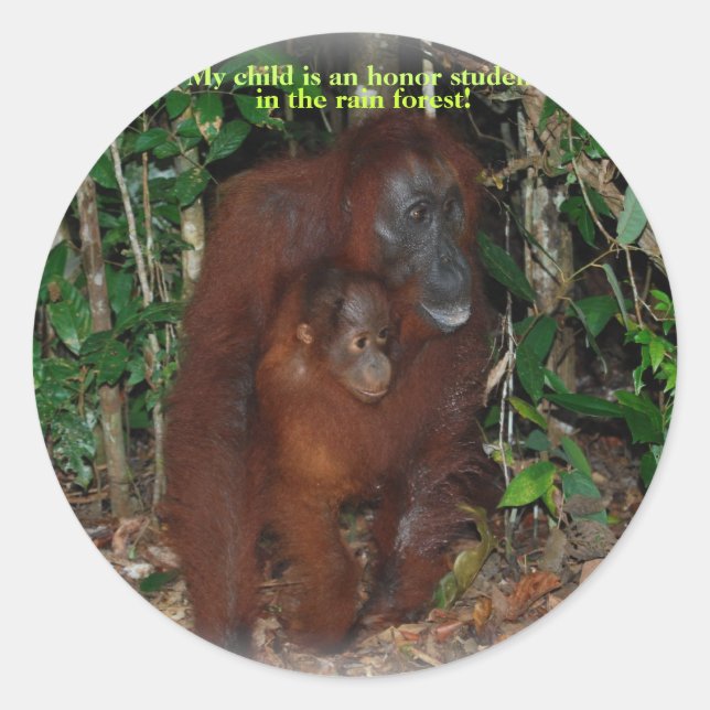 Cute Animal Orangutan Jungle Family Classic Round Sticker (Front)