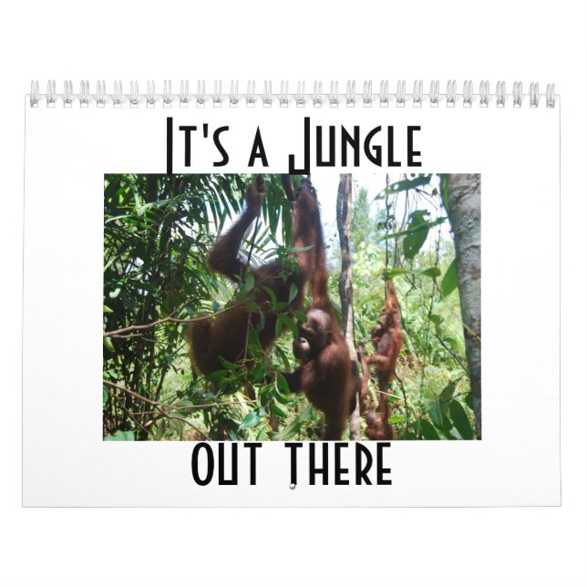 Cute Animal Orangutan Photography Calendar (Cover)