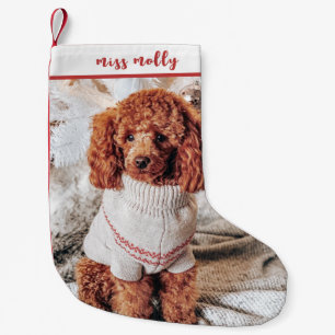 Cute Animal Pet Christmas Photo Small Christmas Stocking