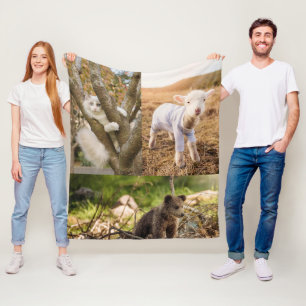 cute animal photos blanket