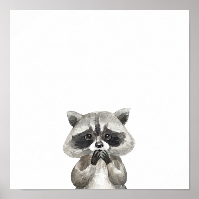 Cute Animal Sweet Racoon Animals Poster (Front)
