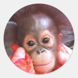 Cute  Animals Classic Round Sticker