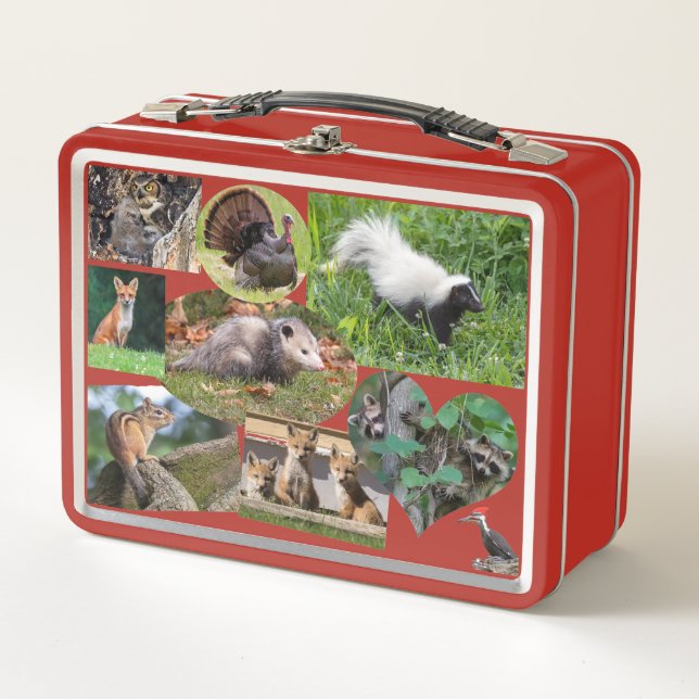 Cute Animals For Kids Metal Lunch Box (Front)