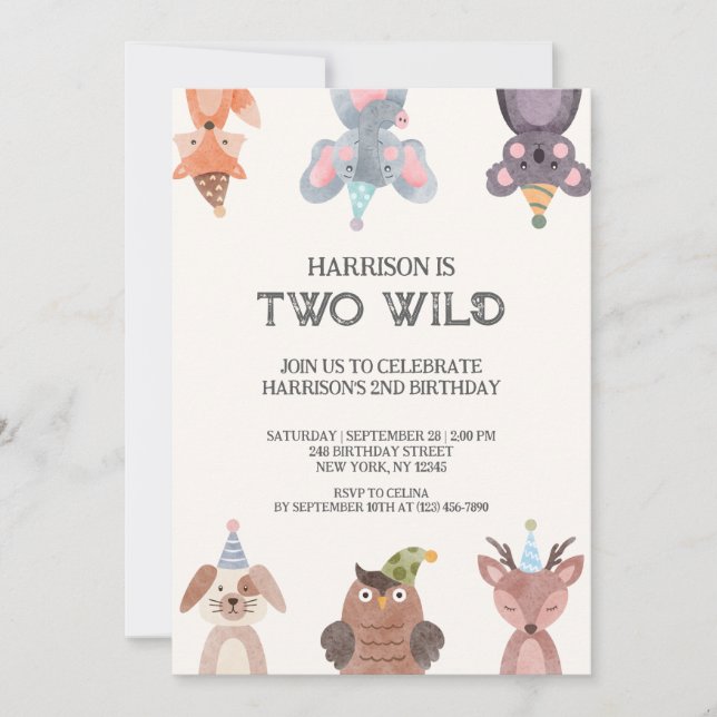 Cute Animals gender-neutral birthday Invitation (Front)