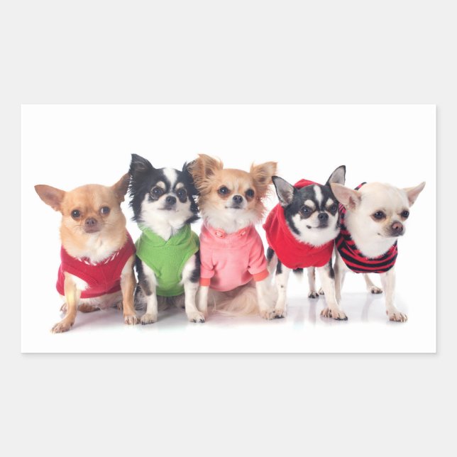 Cute Animals Rectangular Sticker (Front)