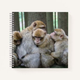 Cute Ape Family Group Hug Photograph Notebook