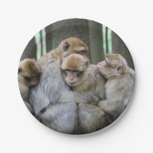 Cute Ape Family Group Hug Photograph Paper Plate