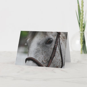 Cute Appaloosa Horse Greeting Card