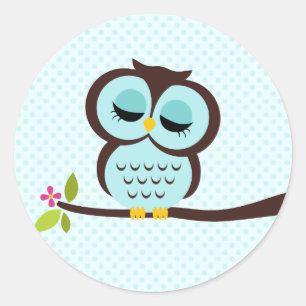 Cute Aqua Owl Classic Round Sticker