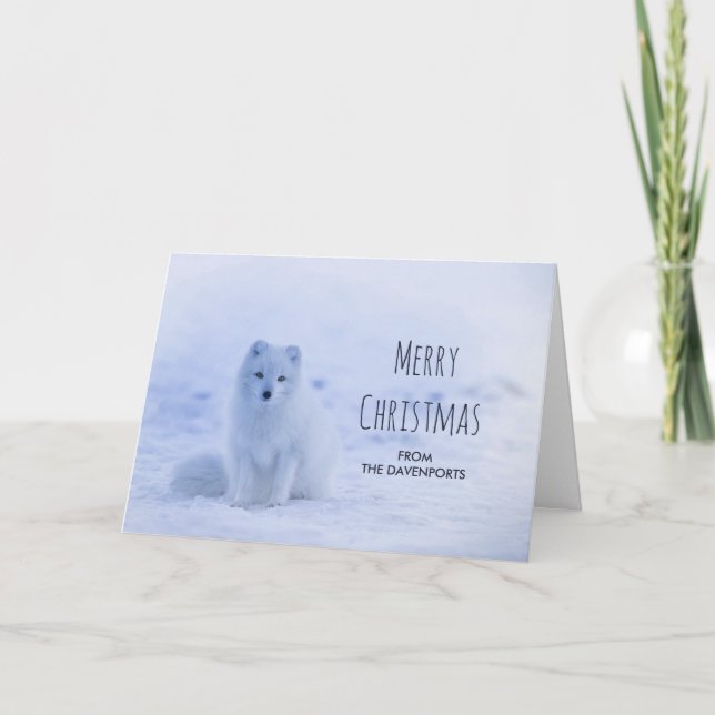 Cute Arctic Fox on Snow Merry Christmas Card (Front)