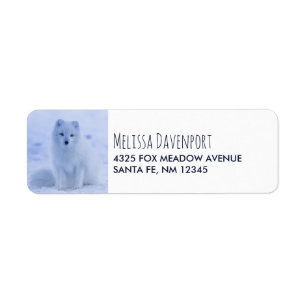 Cute Arctic Fox on Snowy Winter Background