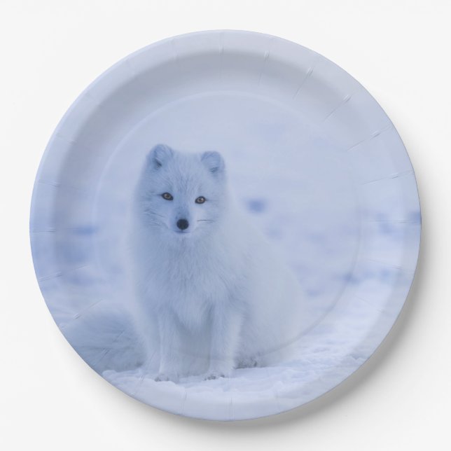 Cute Arctic Fox on Snowy Winter Background Paper Plate (Front)