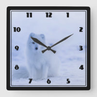 Cute Arctic Fox on Snowy Winter Background