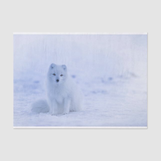 Cute Arctic Fox on Snowy Winter Background Tissue Paper (Front)