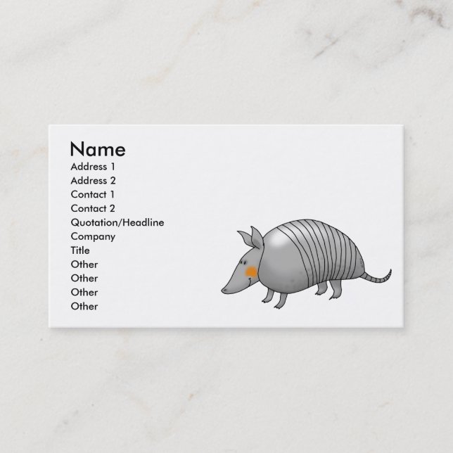 Cute armadillo business card (Front)