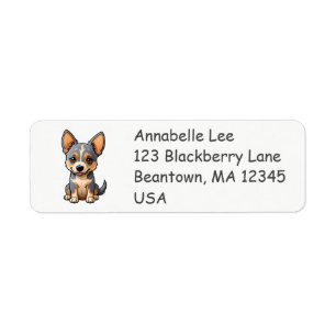 Cute Australian Cattle Dog