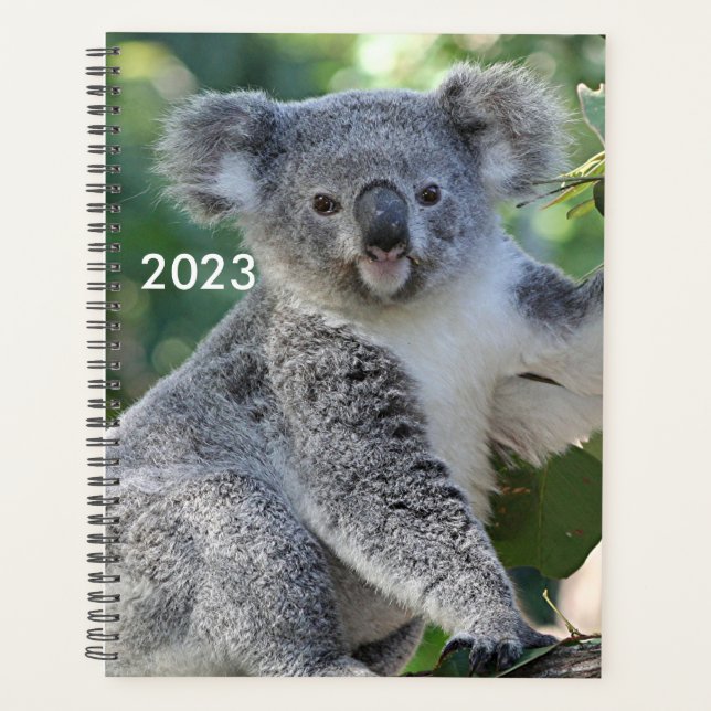 Cute Australian koala planner 2023 (Front)