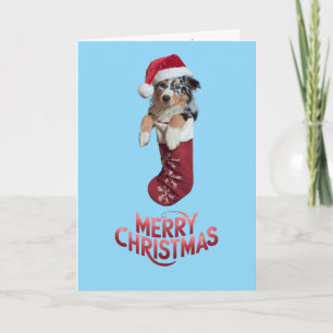 Cute Australian Shepherd Christmas Card