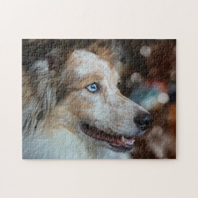 Cute Australian Shepherd Dog Portrait Jigsaw Puzzle (Horizontal)