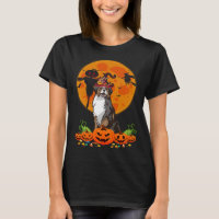 Cute Australian Shepherd Dog Witch Pumpkin Hallowe